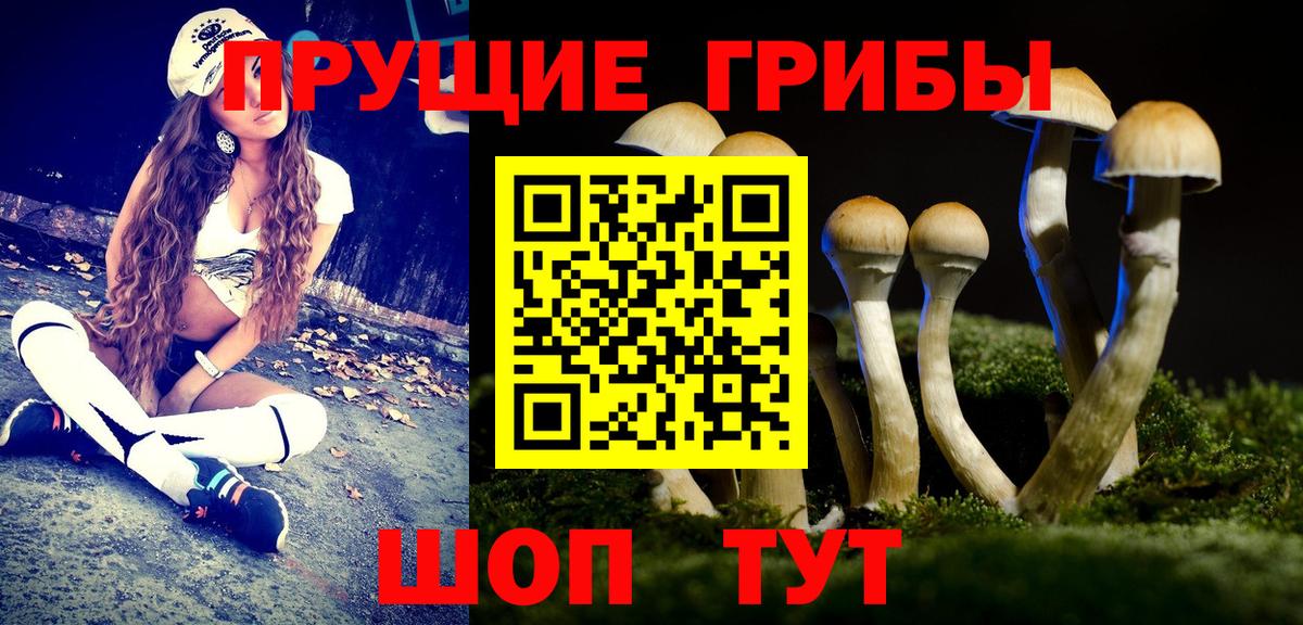 Верхняя Салда  Галлюциногенные грибы мухоморы  Вход с VPN 